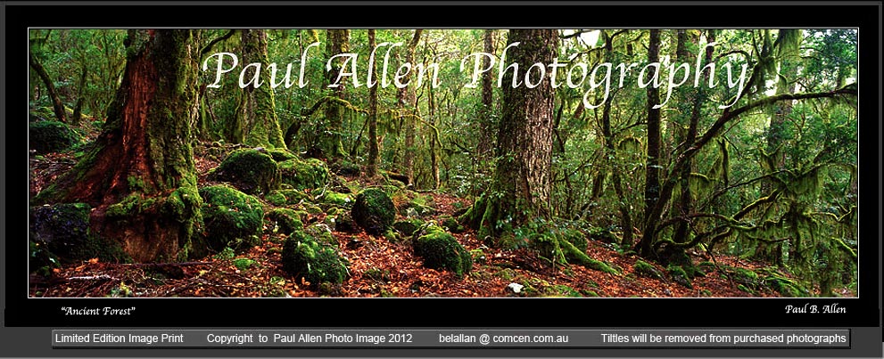 Barrington Tops photography