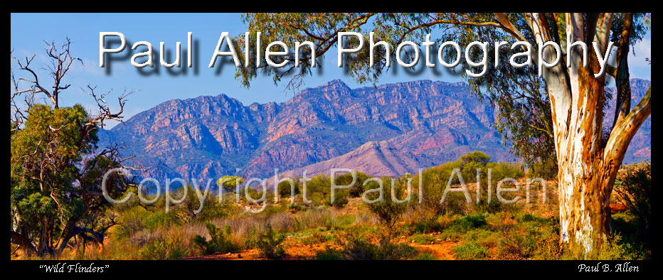 Flinders Ranges South Australia