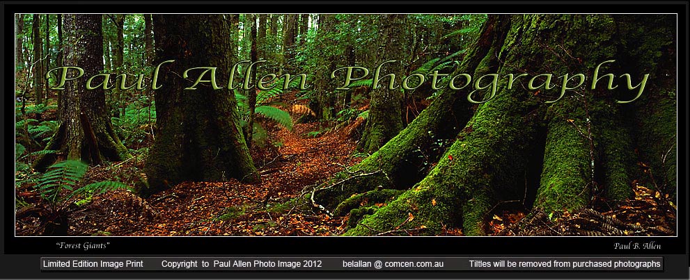 Hunter Valley Photography Barrington Tops