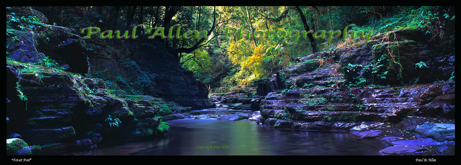 Barrington Forest Pool