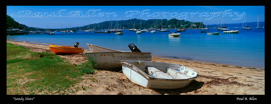 Sydney Photography Sandy Shore