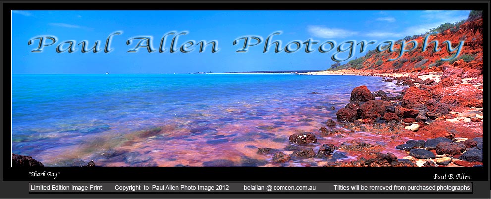 Shark Bay Western Australia