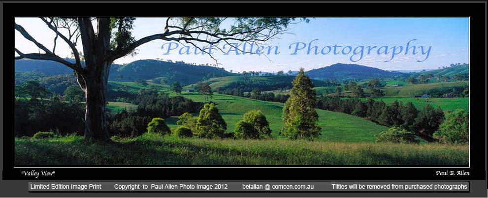 Hunter Valley View